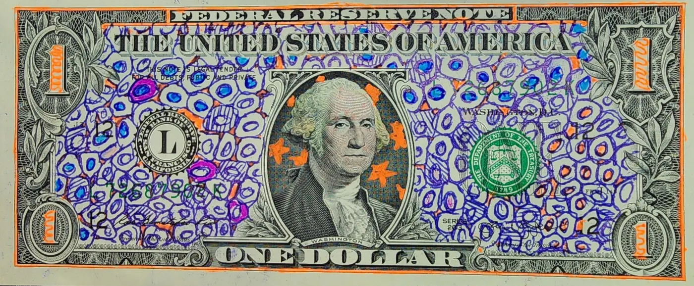Dollar Bill Art #385